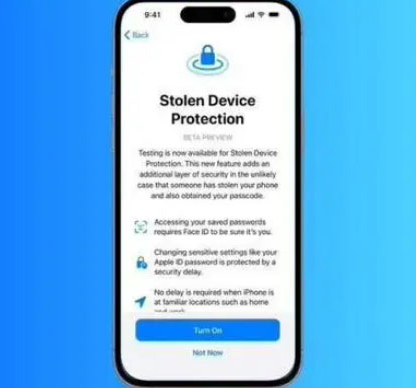 崖城镇苹果授权维修店分享被盗设备保护功能开启方法 