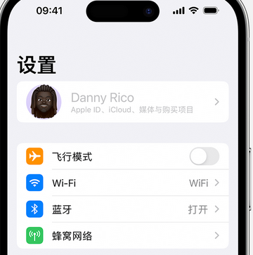 崖城镇appleID维修服务iPhone设置中Apple ID显示为灰色无法使用 