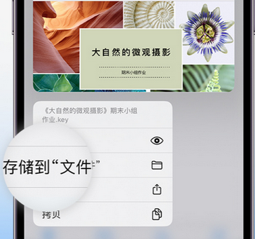 崖城镇apple维修中心分享iPhone文件应用中存储和找到下载文件