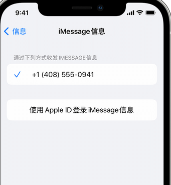 崖城镇apple维修iPhone上无法正常发送iMessage信息 