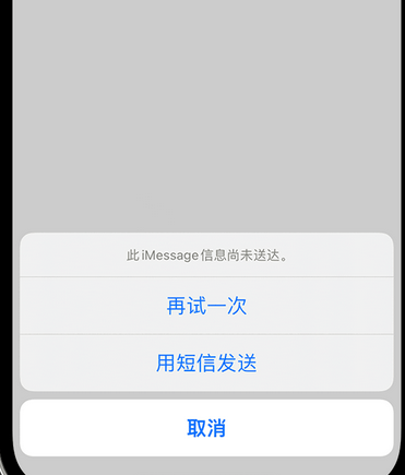 崖城镇apple维修iPhone上无法正常发送iMessage信息