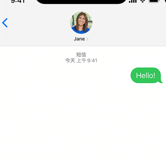 崖城镇apple维修iPhone上无法正常发送iMessage信息