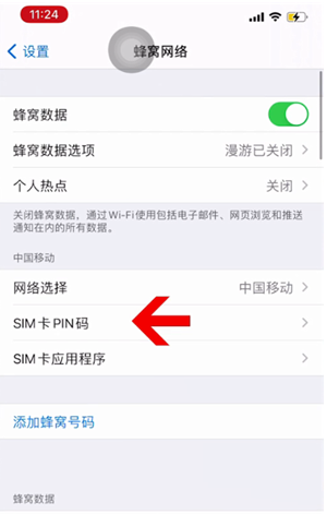 崖城镇苹果14维修网分享如何给iPhone14的SIM卡设置密码 