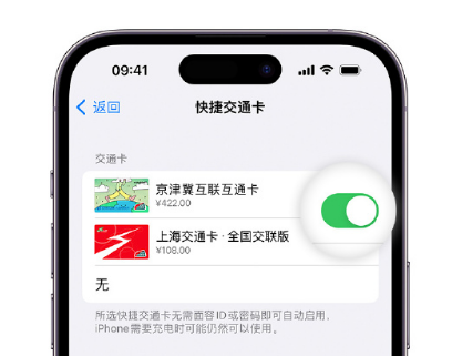 崖城镇apple维修点分享iPhone上更换Apple Pay快捷交通卡手绘卡面 