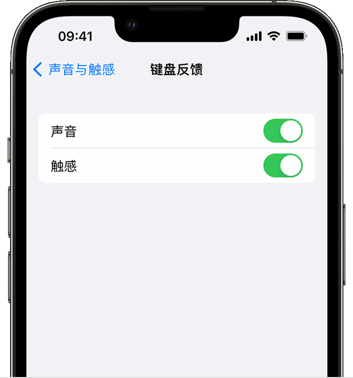 崖城镇苹果14维修店分享如何在 iPhone 14 机型中使用触感键盘 