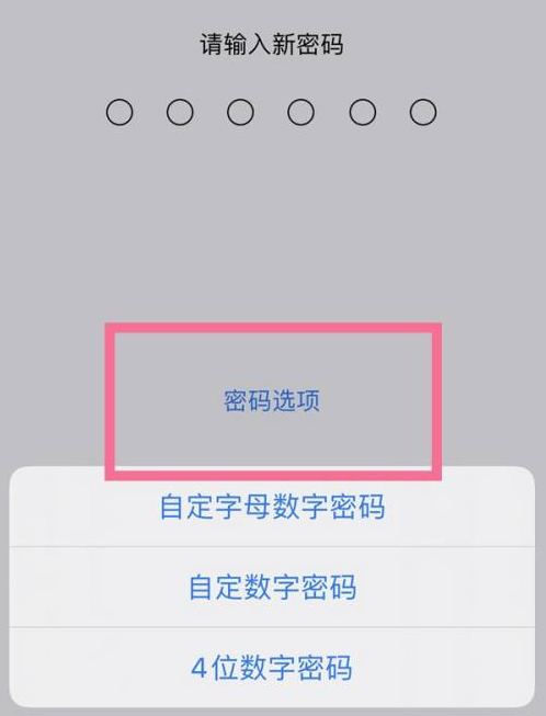 崖城镇苹果14维修分享iPhone 14plus设置密码的方法 