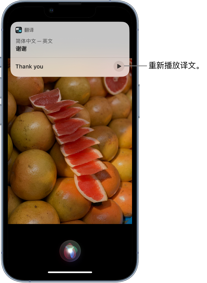 崖城镇苹果14维修分享 iPhone 14 机型中使用 Siri：了解 Siri 能帮你做什么 