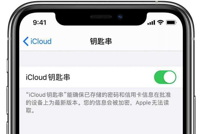 崖城镇苹果手机维修分享在 iPhone 上开启 iCloud 钥匙串之后会储存哪些信息 