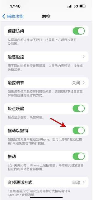 崖城镇苹果手机维修分享iPhone手机如何设置摇一摇删除文字 